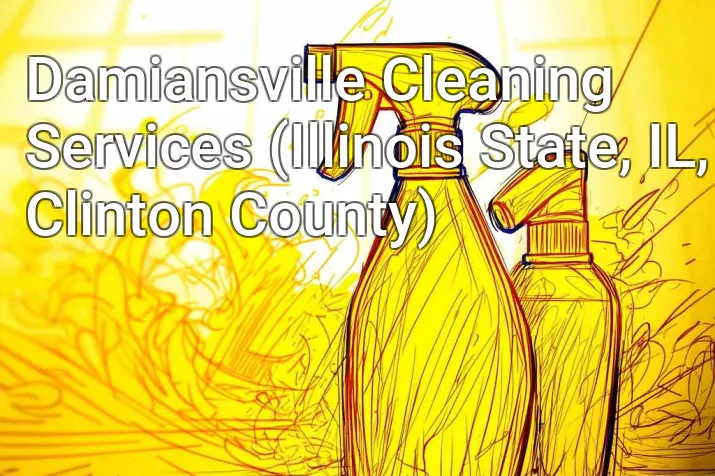 Damiansville Cleaning Services (Illinois State, IL, Clinton County)
