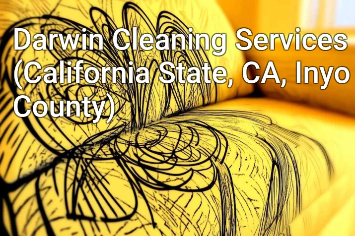 Darwin Cleaning Services (California State, CA, Inyo County)
