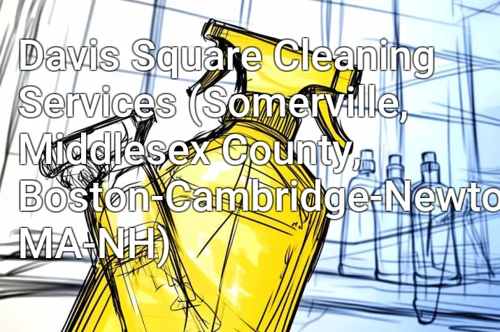 Davis Square Cleaning Services (Somerville, Middlesex County, Boston-Cambridge-Newton, MA-NH)