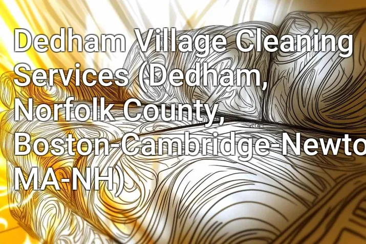 Dedham Village Cleaning Services (Dedham, Norfolk County, Boston-Cambridge-Newton, MA-NH)