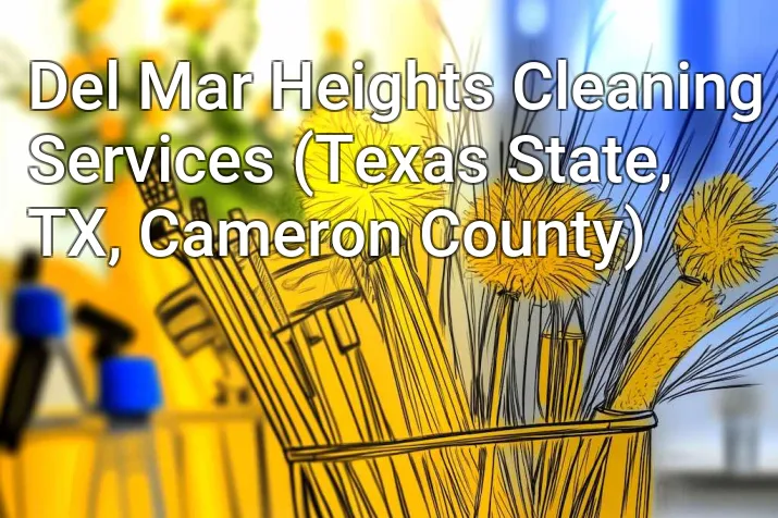 Del Mar Heights Cleaning Services (Texas State, TX, Cameron County)