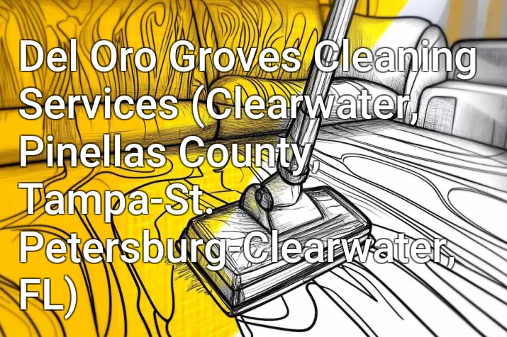 Del Oro Groves Cleaning Services (Clearwater, Pinellas County, Tampa-St. Petersburg-Clearwater, FL)