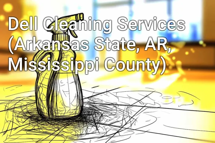 Dell Cleaning Services (Arkansas State, AR, Mississippi County)