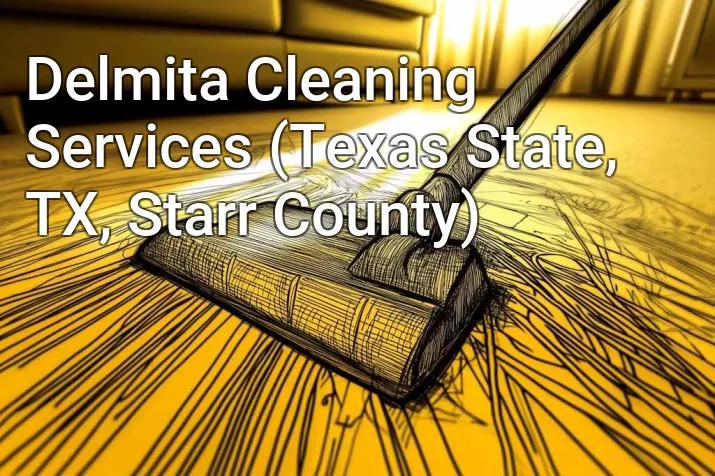 Delmita Cleaning Services (Texas State, TX, Starr County)