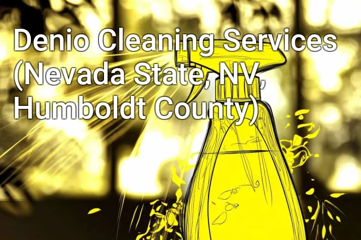 Denio Cleaning Services (Nevada State, NV, Humboldt County)
