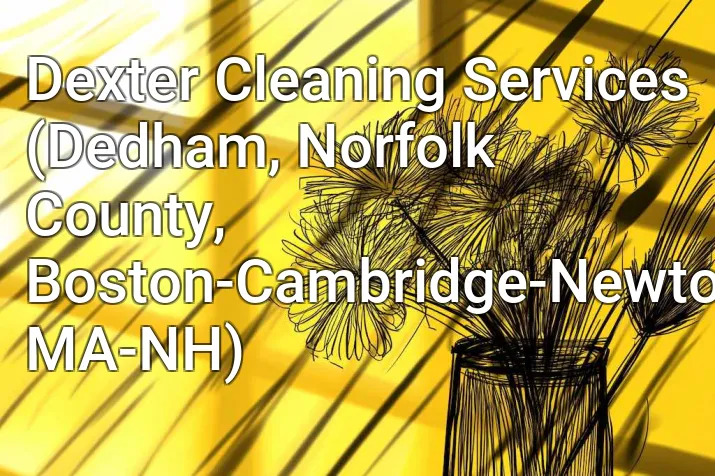 Dexter Cleaning Services (Dedham, Norfolk County, Boston-Cambridge-Newton, MA-NH)
