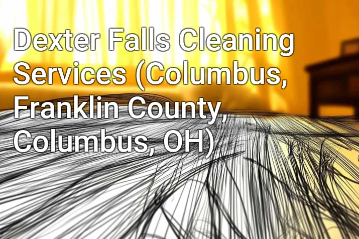 Dexter Falls Cleaning Services (Columbus, Franklin County, Columbus, OH)
