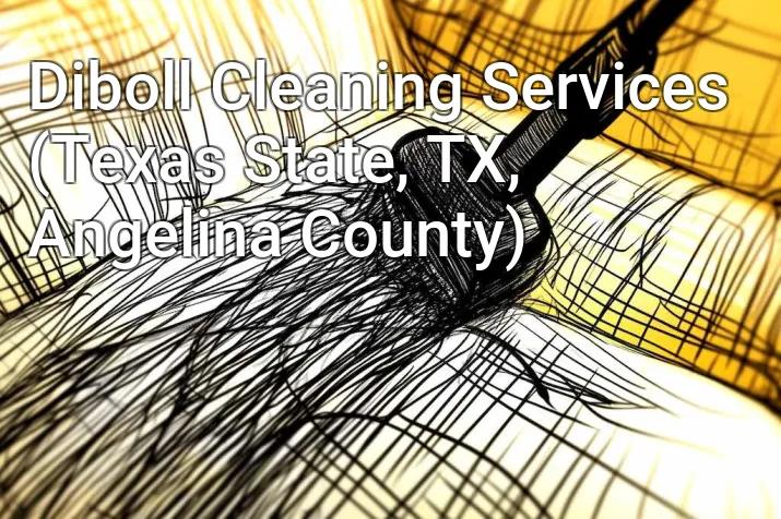 Diboll Cleaning Services (Texas State, TX, Angelina County)