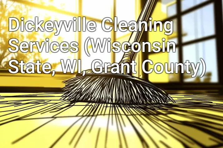 Dickeyville Cleaning Services (Wisconsin State, WI, Grant County)