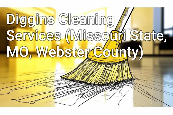 Diggins Cleaning Services (Missouri State, MO, Webster County)