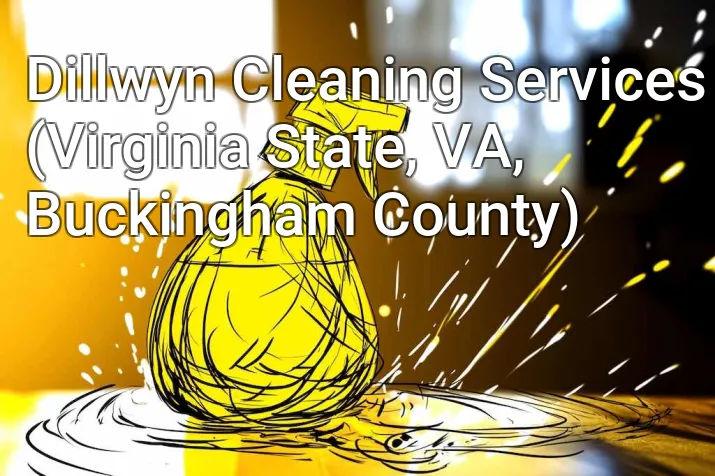 Dillwyn Cleaning Services (Virginia State, VA, Buckingham County)