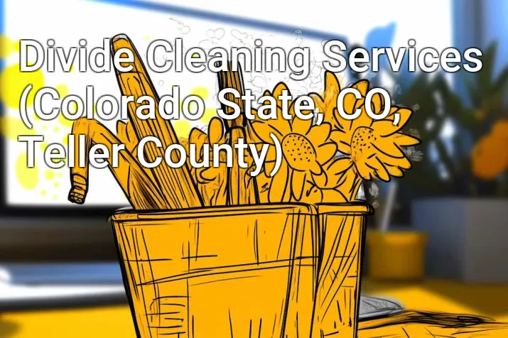 Divide Cleaning Services (Colorado State, CO, Teller County)