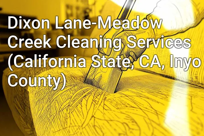 Dixon Lane-Meadow Creek Cleaning Services (California State, CA, Inyo County)