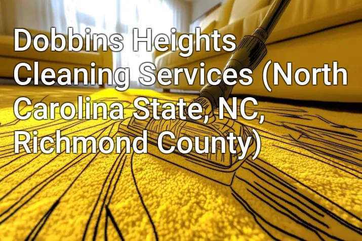 Dobbins Heights Cleaning Services (North Carolina State, NC, Richmond County)