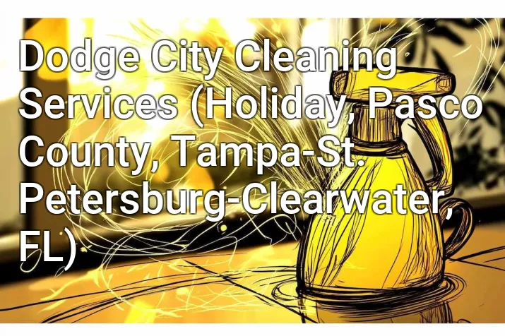 Dodge City Cleaning Services (Holiday, Pasco County, Tampa-St. Petersburg-Clearwater, FL)