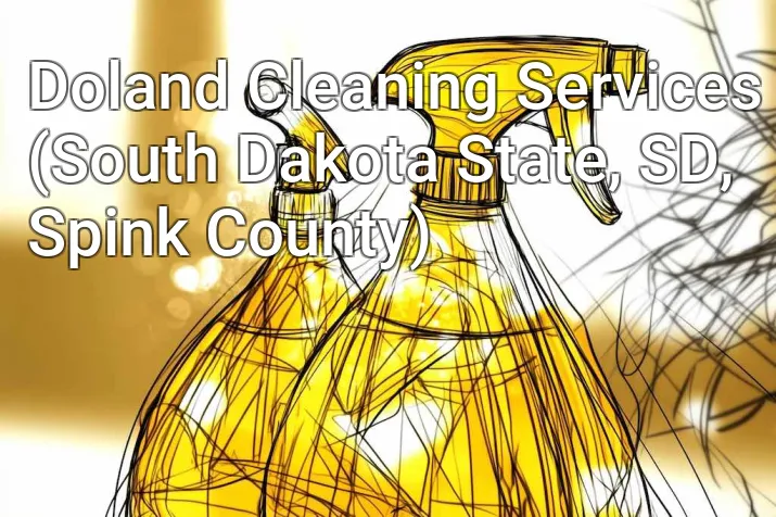 Doland Cleaning Services (South Dakota State, SD, Spink County)