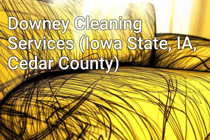 Downey Cleaning Services (Iowa State, IA, Cedar County)
