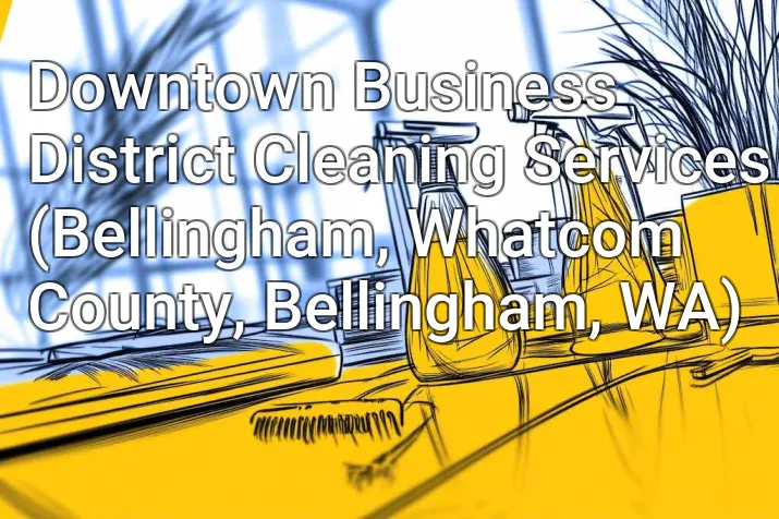 Downtown Business District Cleaning Services (Bellingham, Whatcom County, Bellingham, WA)