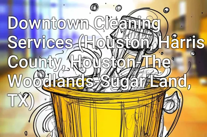 Downtown Cleaning Services (Houston, Harris County, Houston-The Woodlands-Sugar Land, TX)