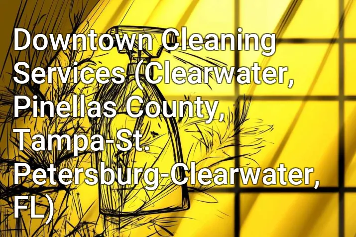 Downtown Cleaning Services (Clearwater, Pinellas County, Tampa-St. Petersburg-Clearwater, FL)