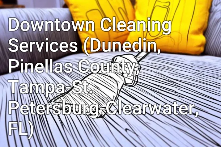 Downtown Cleaning Services (Dunedin, Pinellas County, Tampa-St. Petersburg-Clearwater, FL)