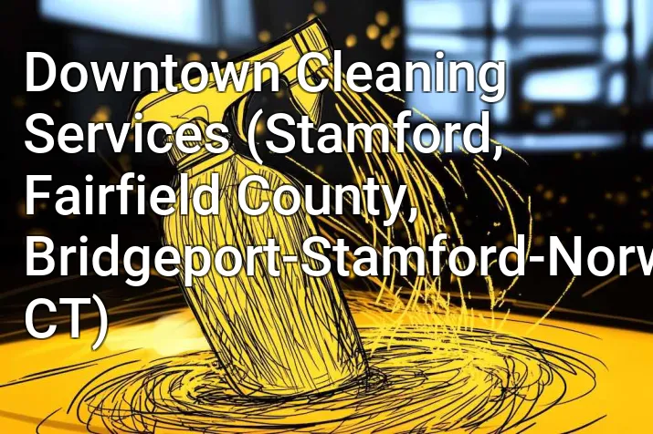 Downtown Cleaning Services (Stamford, Fairfield County, Bridgeport-Stamford-Norwalk, CT)