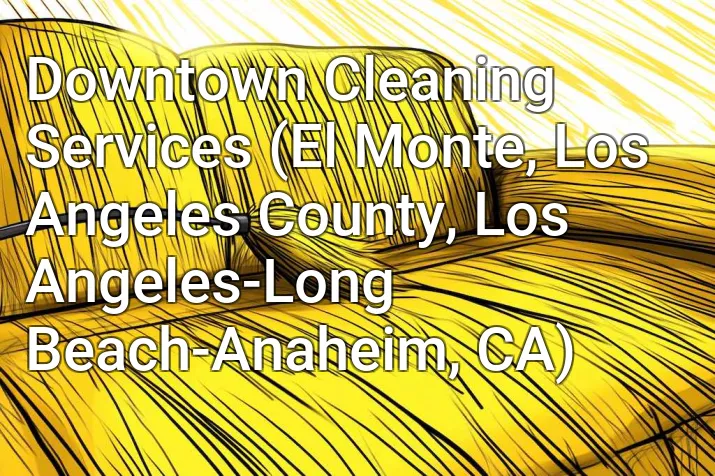 Downtown Cleaning Services (El Monte, Los Angeles County, Los Angeles-Long Beach-Anaheim, CA)