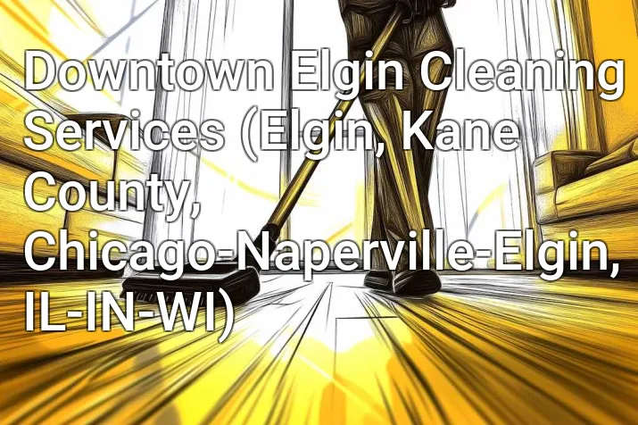 Downtown Elgin Cleaning Services (Elgin, Kane County, Chicago-Naperville-Elgin, IL-IN-WI)