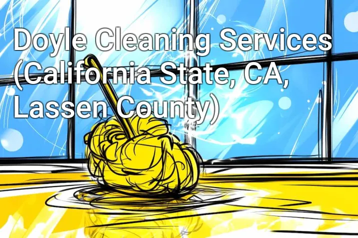 Doyle Cleaning Services (California State, CA, Lassen County)