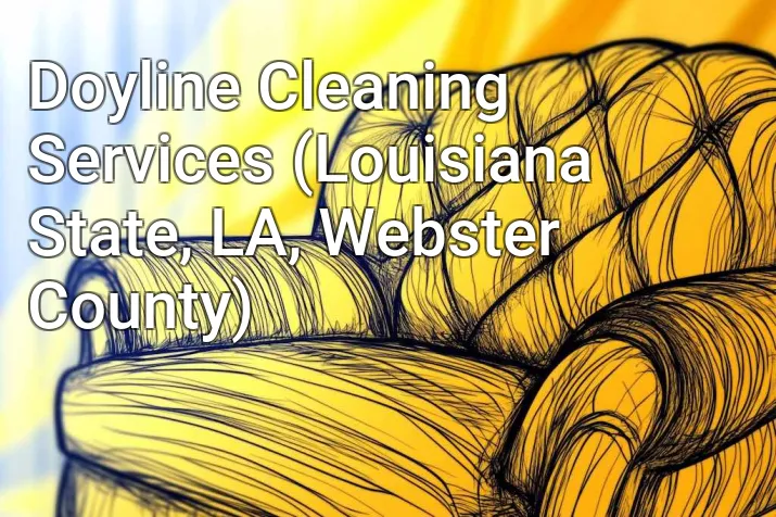 Doyline Cleaning Services (Louisiana State, LA, Webster County)