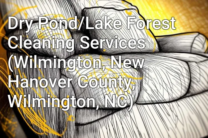 Dry Pond/Lake Forest Cleaning Services (Wilmington, New Hanover County, Wilmington, NC)