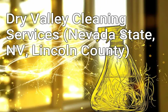 Dry Valley Cleaning Services (Nevada State, NV, Lincoln County)