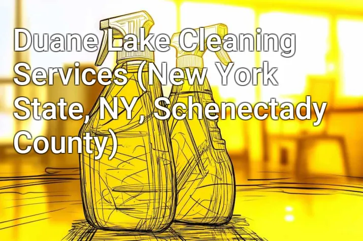 Duane Lake Cleaning Services (New York State, NY, Schenectady County)