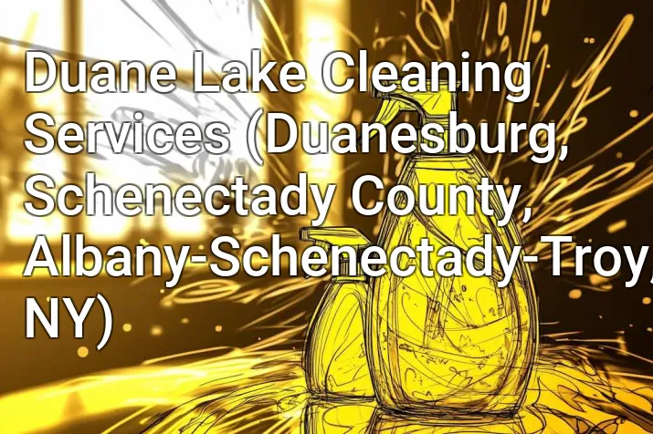 Duane Lake Cleaning Services (Duanesburg, Schenectady County, Albany-Schenectady-Troy, NY)