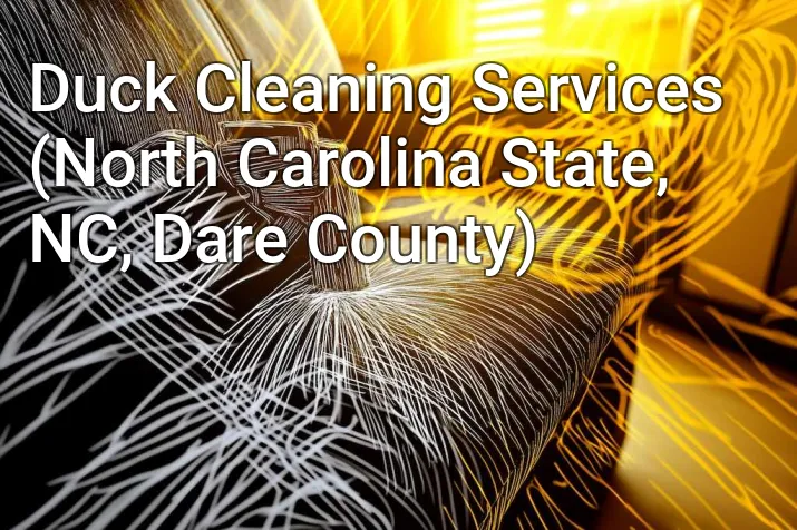 Duck Cleaning Services (North Carolina State, NC, Dare County)