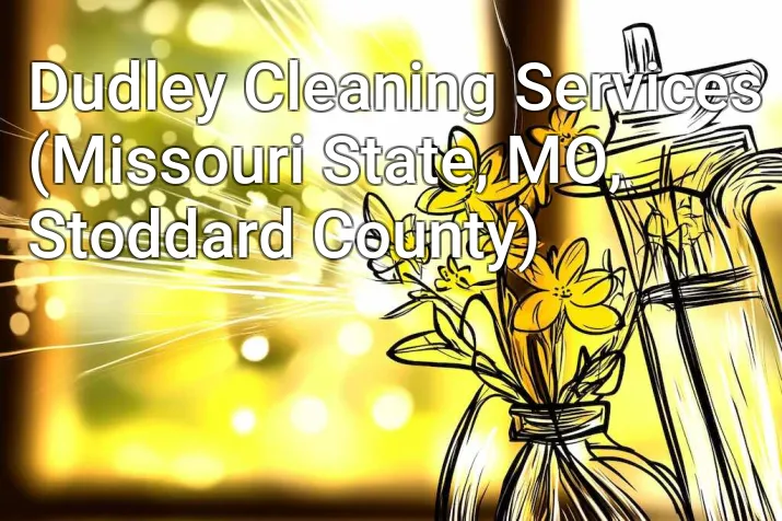 Dudley Cleaning Services (Missouri State, MO, Stoddard County)