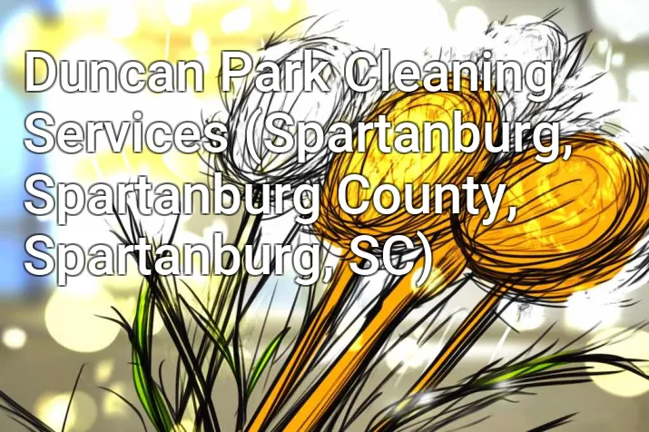 Duncan Park Cleaning Services (Spartanburg, Spartanburg County, Spartanburg, SC)