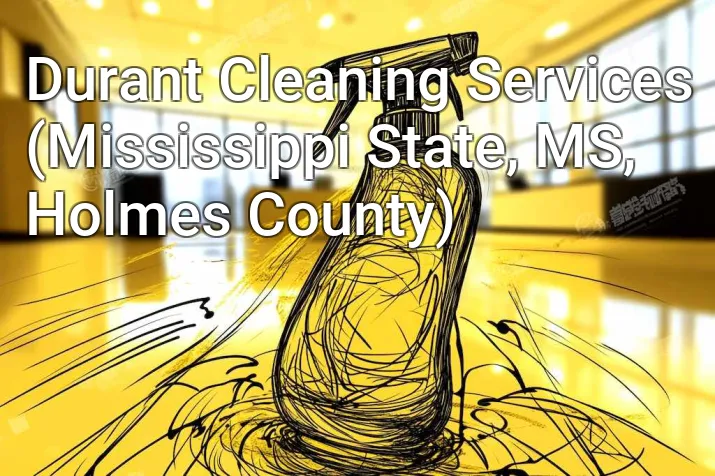 Durant Cleaning Services (Mississippi State, MS, Holmes County)