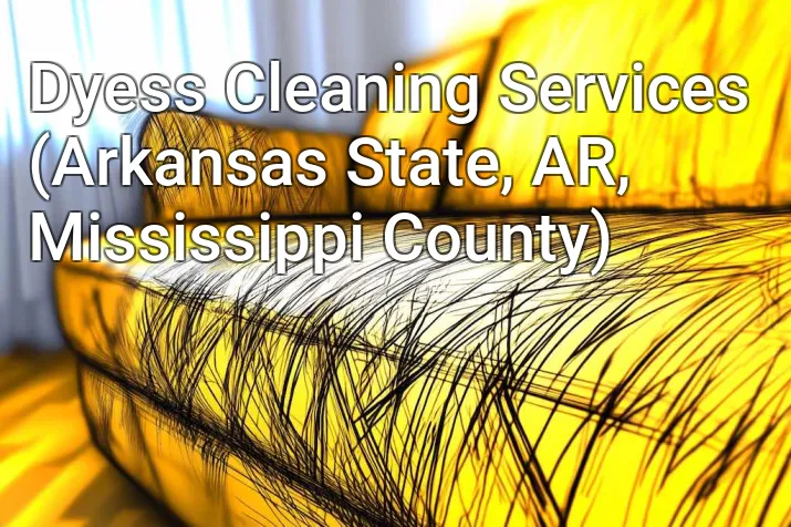 Dyess Cleaning Services (Arkansas State, AR, Mississippi County)