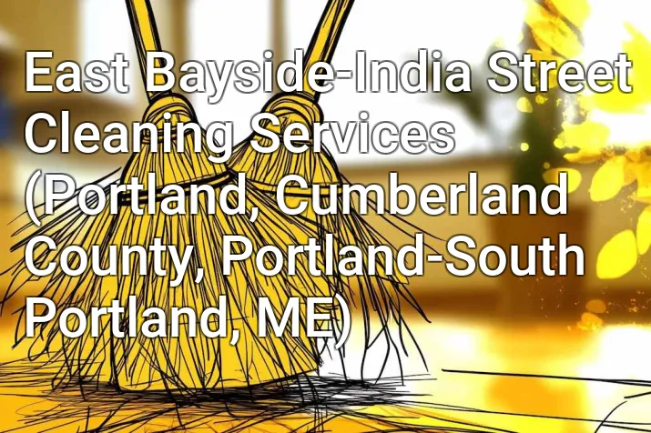 East Bayside-India Street Cleaning Services (Portland, Cumberland County, Portland-South Portland, ME)