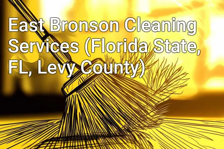 East Bronson Cleaning Services (Florida State, FL, Levy County)