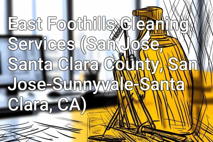 East Foothills Cleaning Services (San Jose, Santa Clara County, San Jose-Sunnyvale-Santa Clara, CA)