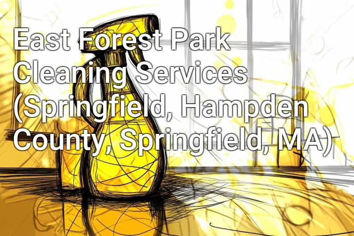 East Forest Park Cleaning Services (Springfield, Hampden County, Springfield, MA)