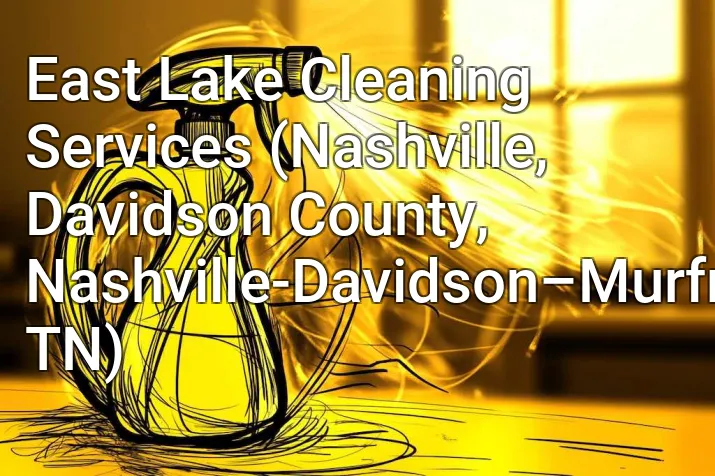 East Lake Cleaning Services (Nashville, Davidson County, Nashville-Davidson–Murfreesboro–Franklin, TN)