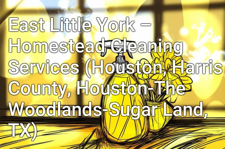 East Little York – Homestead Cleaning Services (Houston, Harris County, Houston-The Woodlands-Sugar Land, TX)
