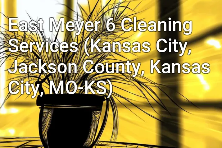 East Meyer 6 Cleaning Services (Kansas City, Jackson County, Kansas City, MO-KS)