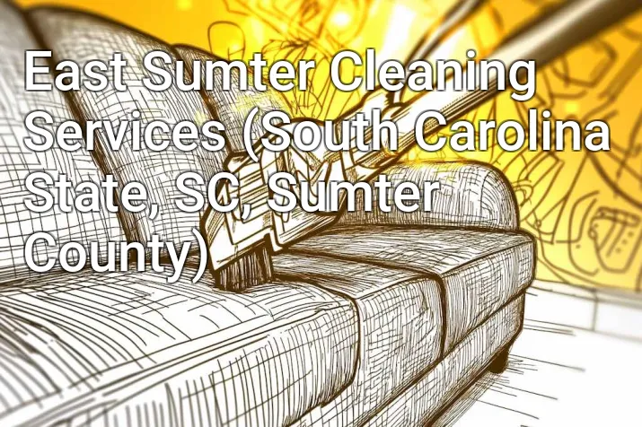 East Sumter Cleaning Services (South Carolina State, SC, Sumter County)