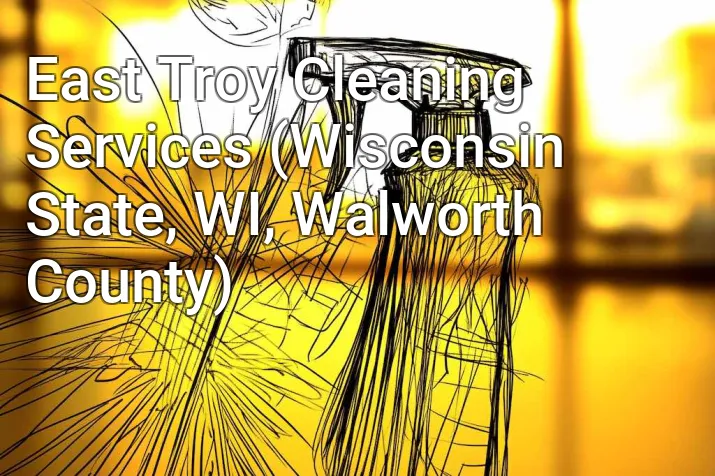 East Troy Cleaning Services (Wisconsin State, WI, Walworth County)