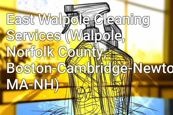 East Walpole Cleaning Services (Walpole, Norfolk County, Boston-Cambridge-Newton, MA-NH)