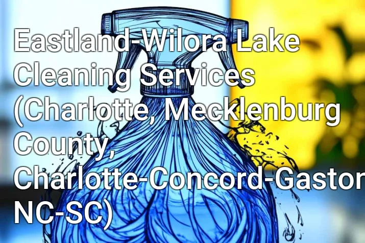 Eastland-Wilora Lake Cleaning Services (Charlotte, Mecklenburg County, Charlotte-Concord-Gastonia, NC-SC)